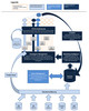 Preview von Marketing-Suite Funktionsdiagramm - Mapp