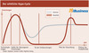 Preview von Der wirkliche Hype-Cycle