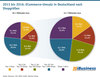 Preview von 2013 bis 2016 - ECommerce-Umsatz in Deutschland nach Shopgrößen