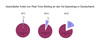 Preview von Anteil von Real Time Bidding an den Ad Spendings in Deutschland 2011, 2012 und Prognose 2015