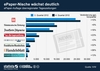 Preview von Die EPaper-Auflagen deutscher berregionaler Tageszeitungen Q3/Q4 2012