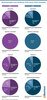 Preview von Versandmodelle nach Sortiment 2019 versus 2020 - Auswahl