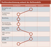 Preview von Positionsbestimmung eines Onlineshops anhand des Reifemodells