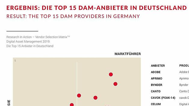 ria-vsm-dam-germany-page-7